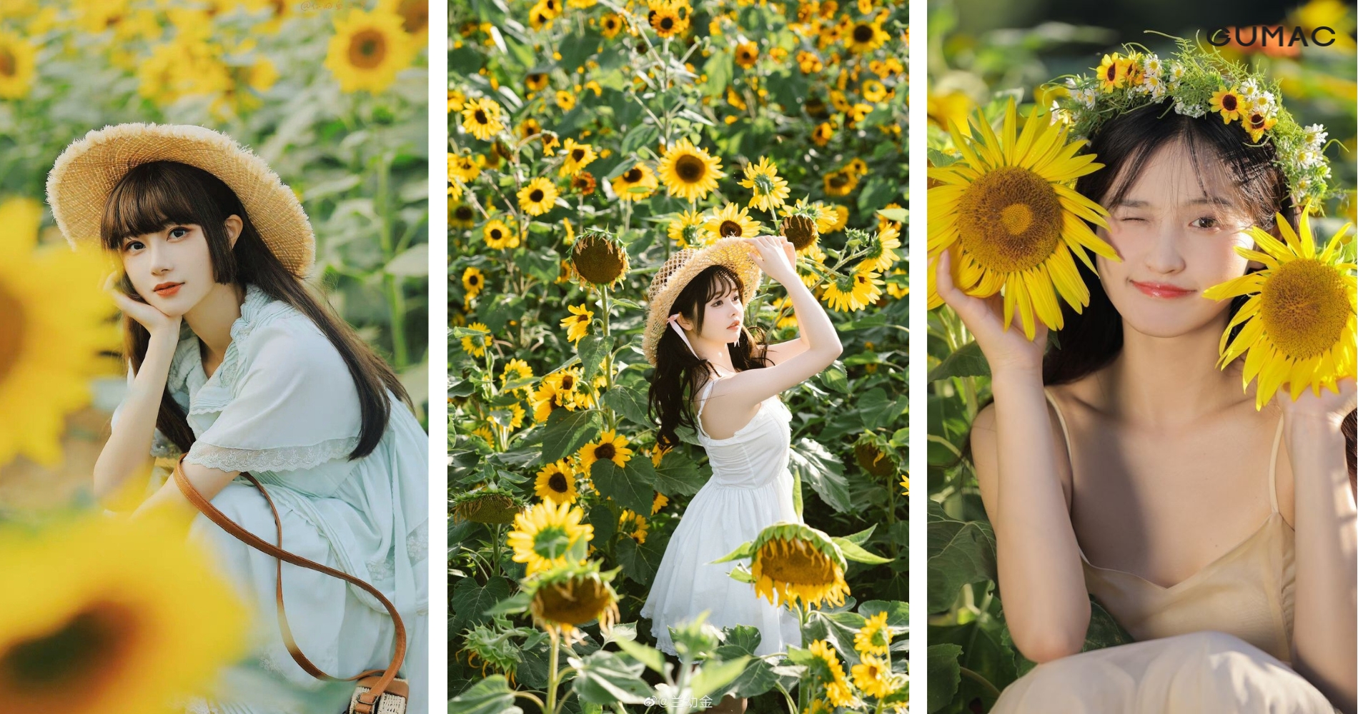 tao dang chup anh concept nang tho voi hoa huong duong