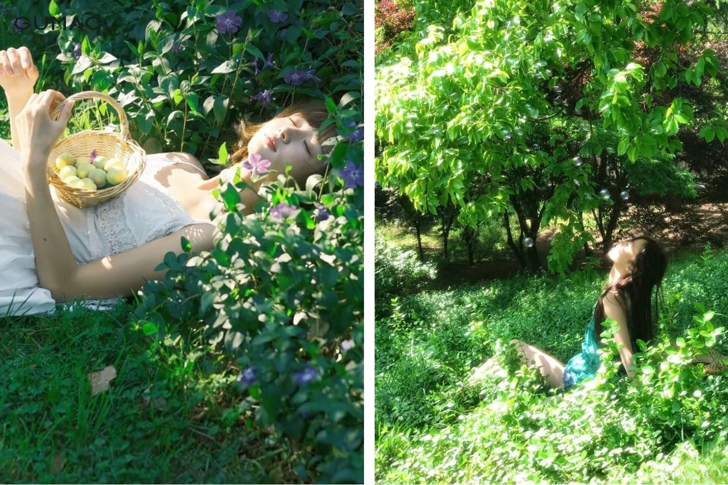 tao dang chup anh nang tho trong rung