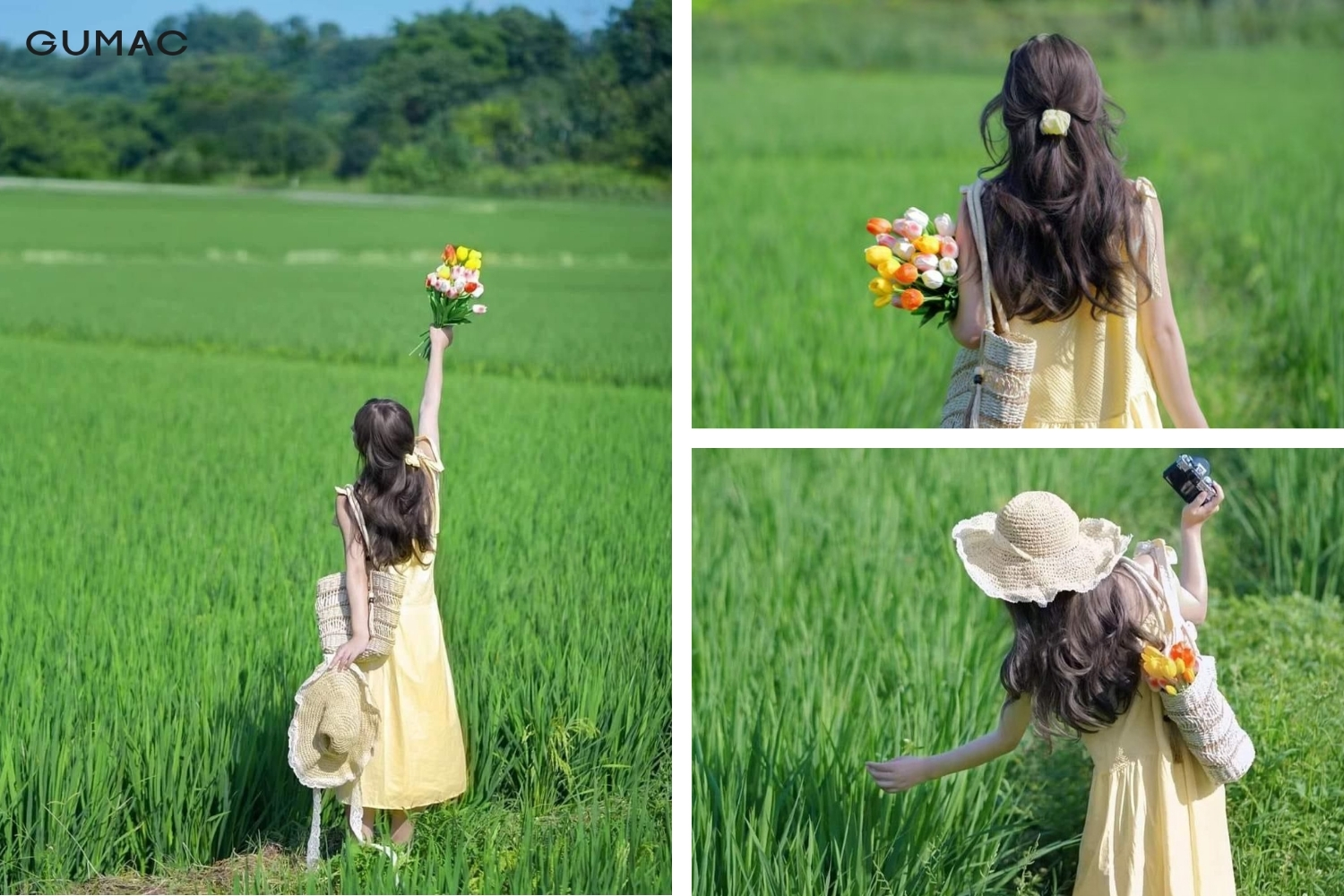 concept chup anh nang tho voi canh dong xanh