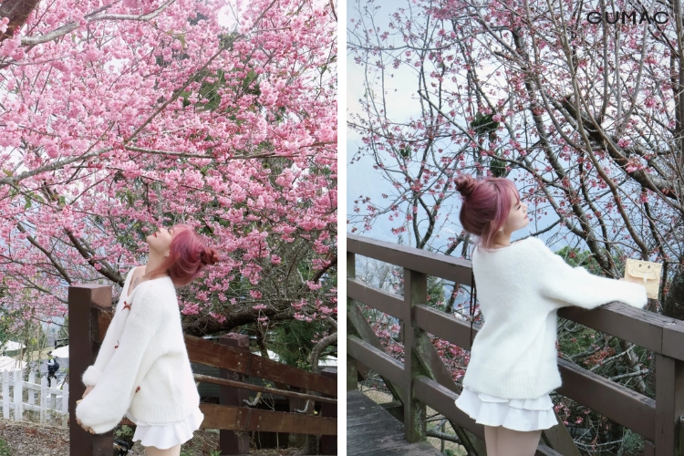 mua xuan di dai loan mac gi dep