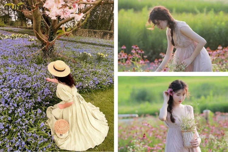 di vuon hoa mac gi de vua dep vua thoai mai 