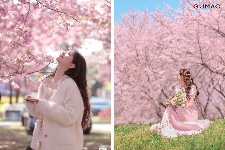 mac gi dep khi di vuon hoa anh dao