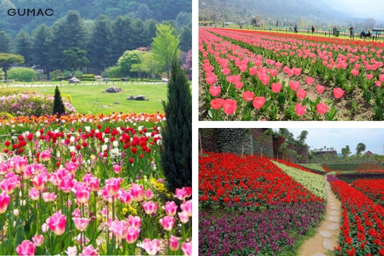 nhung vuon hoa dep ban nhat dinh phai den