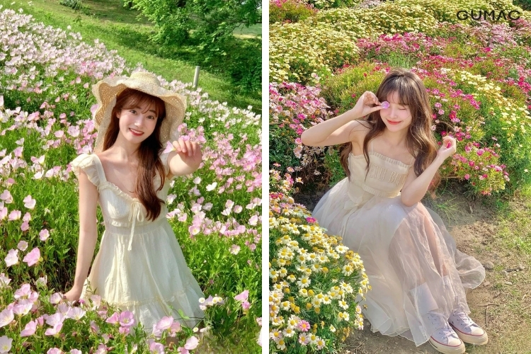 di vuon hoa nen mac gi