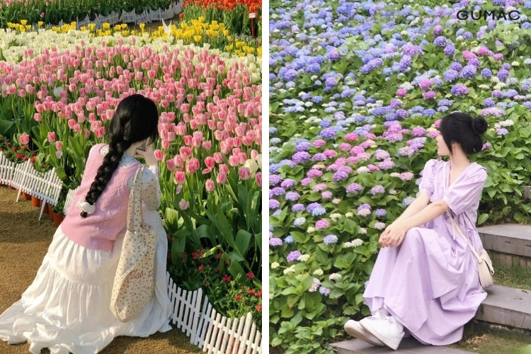 outfit di vuon hoa dep