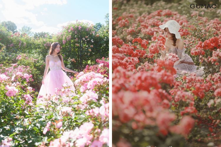 phoi do chup anh khi di vuon hoa hong dep