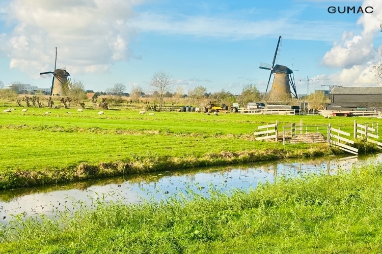 ngoi lang coi xay gio dep o ha lan