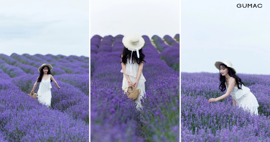 di canh dong oai huong mac gi dep 