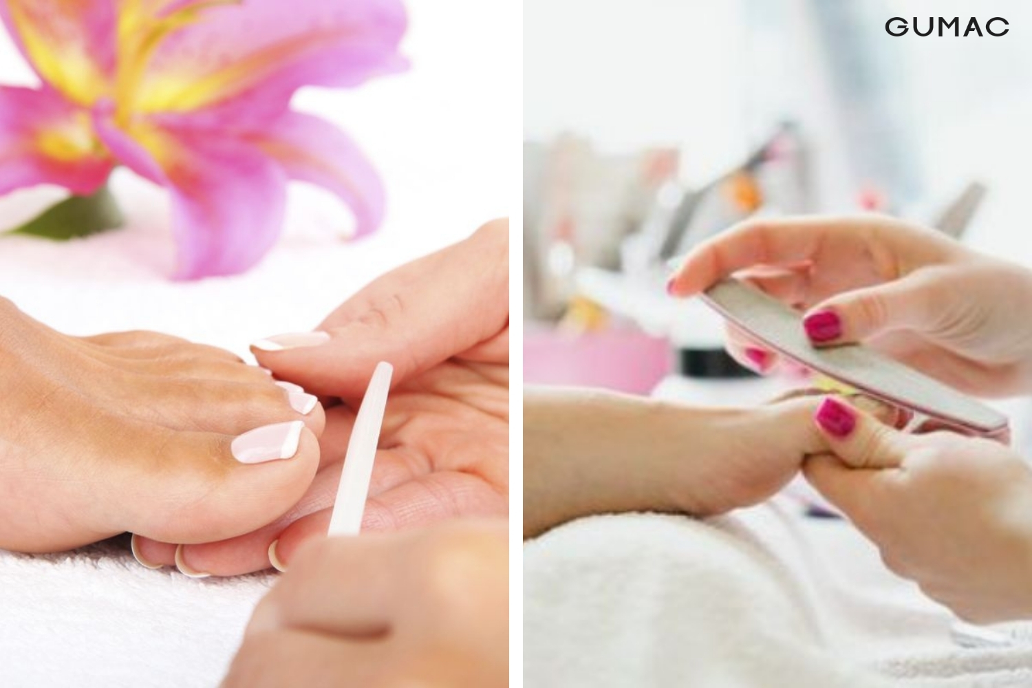 dua mong và lam sach