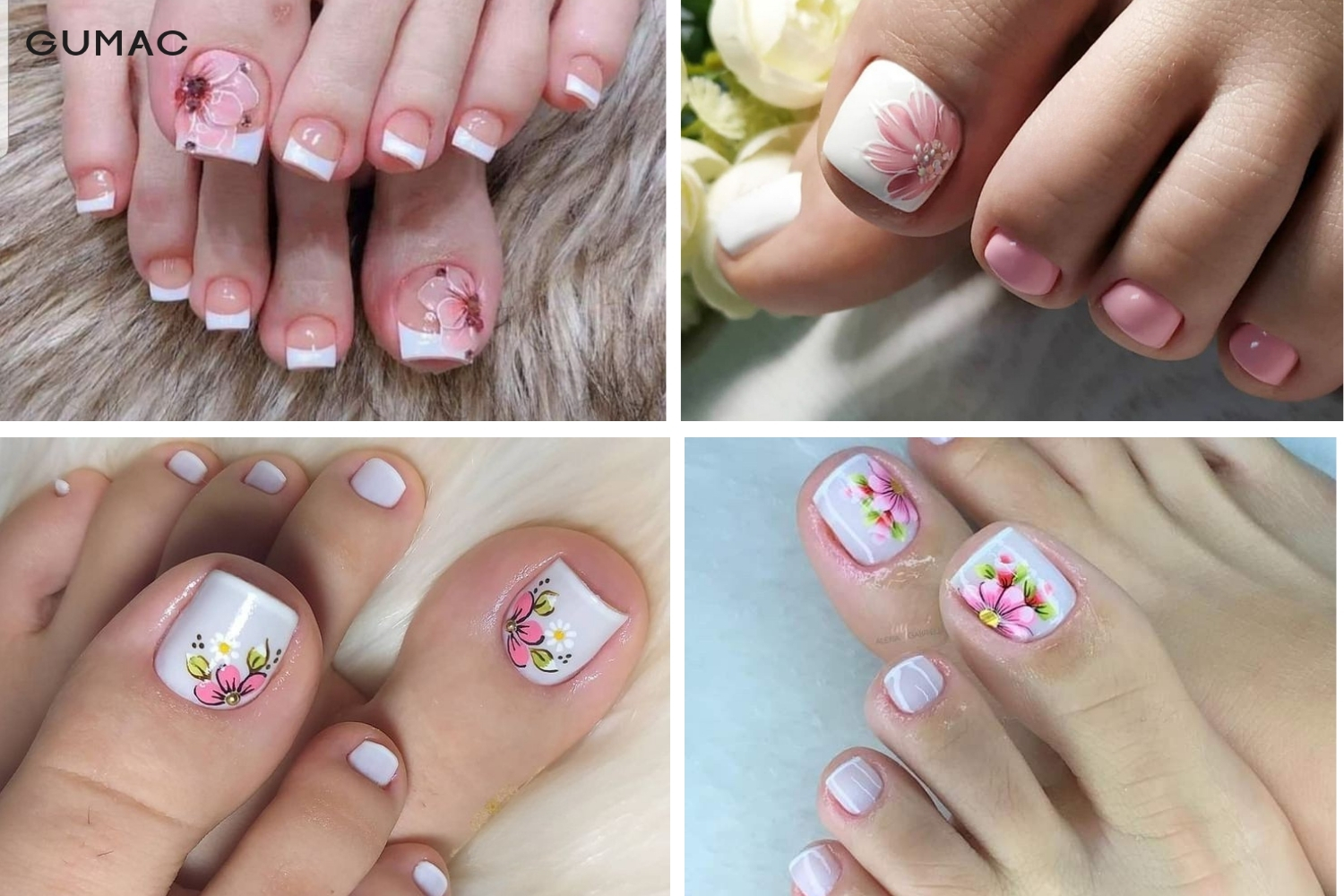 mau mong chan mau trang ve hoa