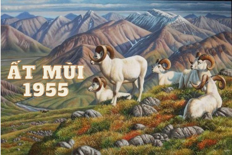 Tông quan về người sinh năm 1955