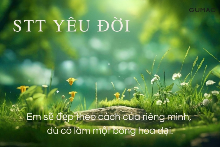 101+ STT yêu đời vui tươi LẠC QUAN ngắn gọn và ý nghĩa nhất