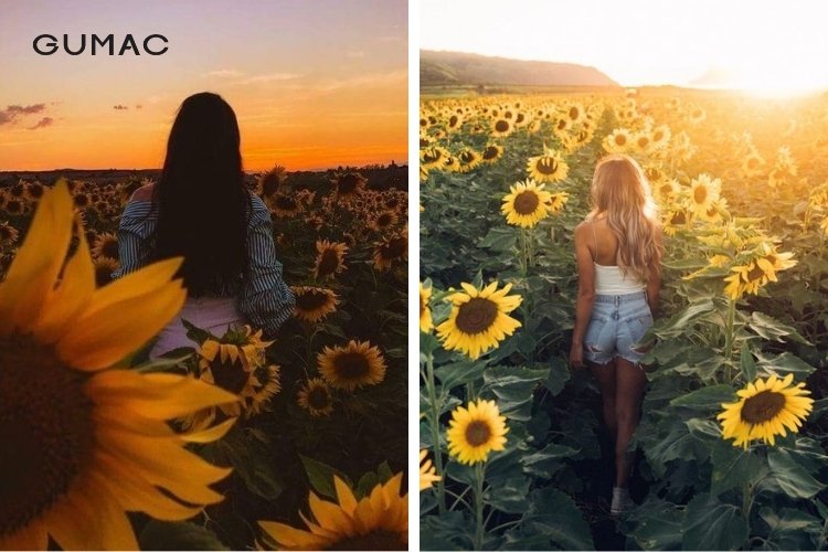 Quay lưng và đi trên cánh đồng hoa