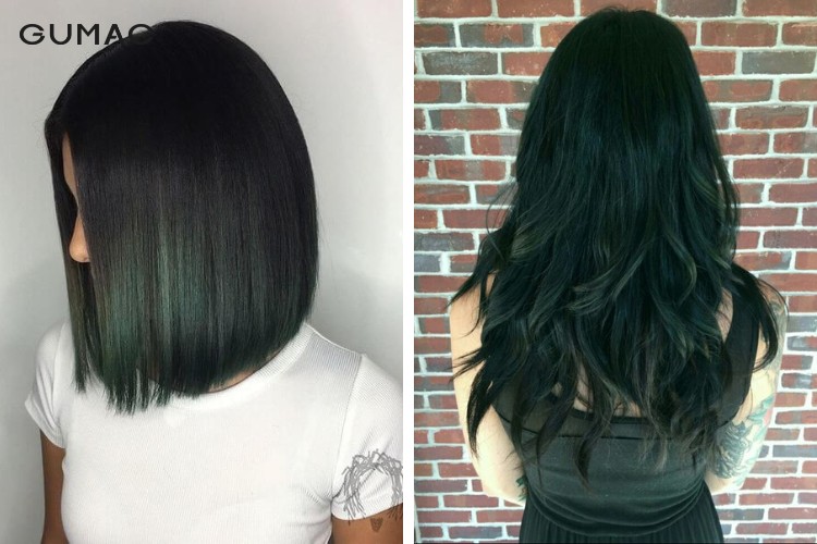 Lựa chọn màu đen xanh rêu