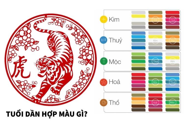 Tuổi Dần hợp màu gì năm 2026 và bí quyết phối đồ CHUẨN phong thủy