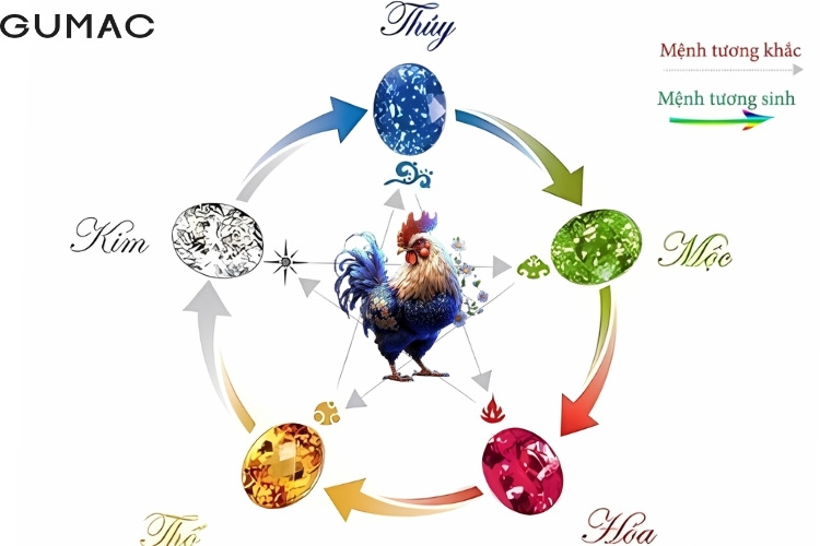 tuoi dau hop mau gi 2026