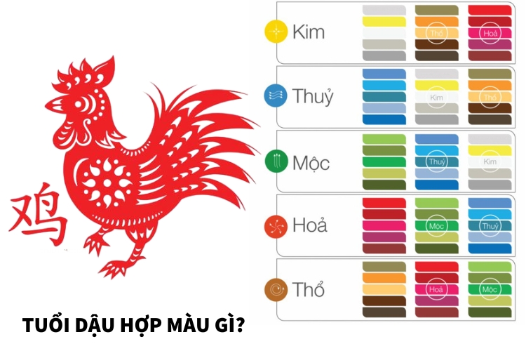 tuoi dau hop mau gi nam 2026