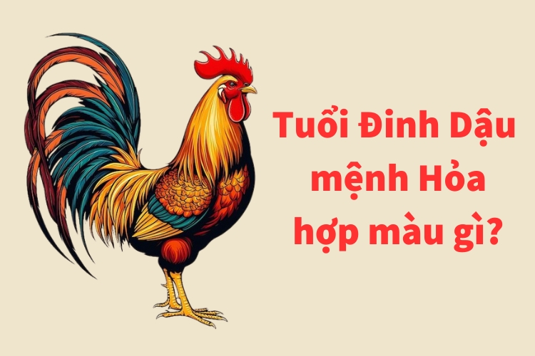 tuoi dinh dau 1957 menh hoa hop mau gi 