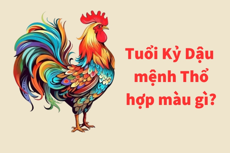 ky dau tuoi dau hop mau nao