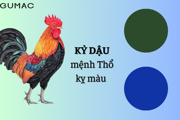 tuoi ky dau ky mau gi