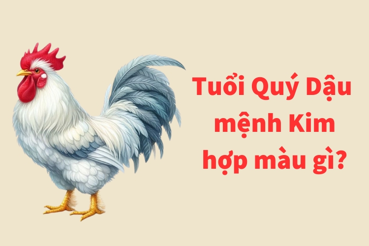 tuoi quy dau 1993 menh kim hop mau gi 