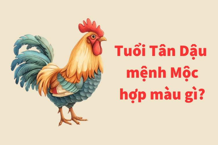 tuoi tan dau 1981 menh moc hop mau gi 