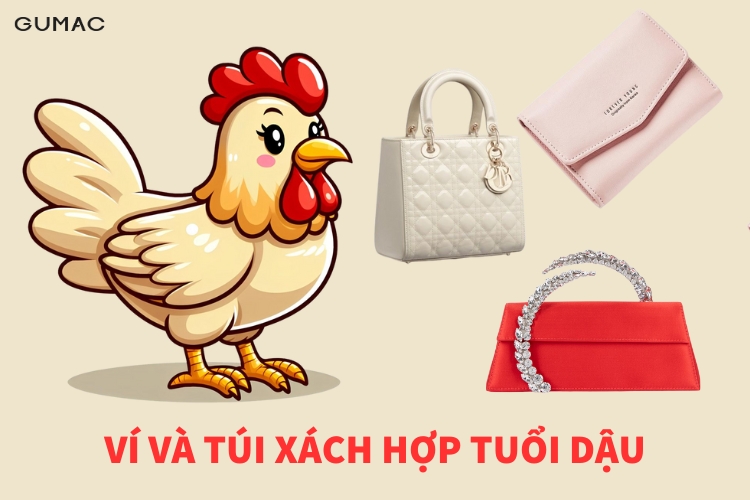 vi va tui xach hop tuoi dau