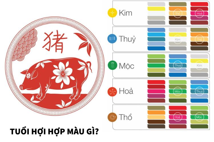 tuoi hoi hop mau gi