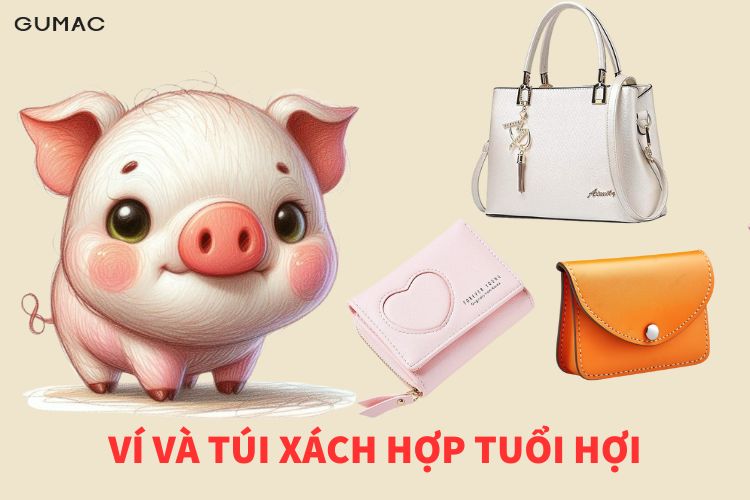 vi va tui xach hop tuoi hoi