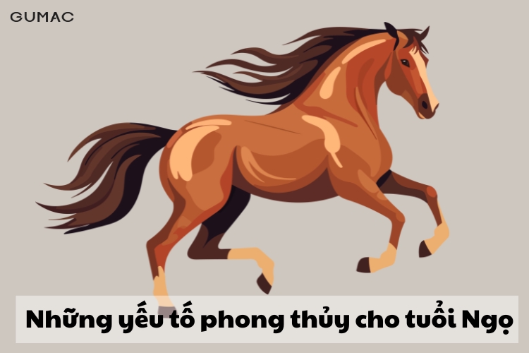 nhung yeu to phong thuy quan trong cho nguoi tuoi ngo hop mau gi 2026