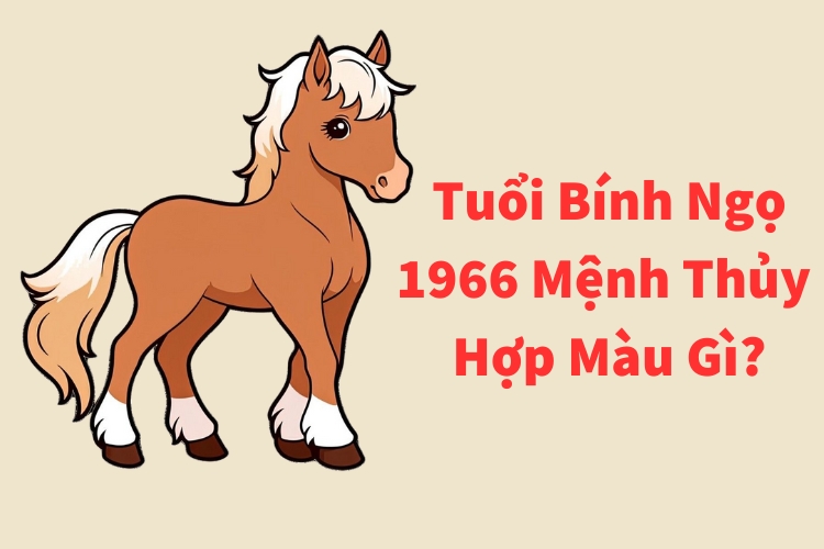 tuoi binh ngo 1966 menh thuy hop mau gi