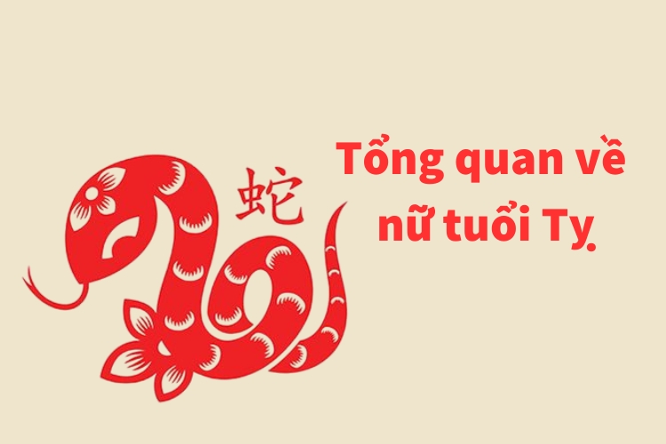 tong quan ve nu tuoi ty