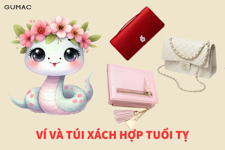 vi va tui xach hop tuoi ty