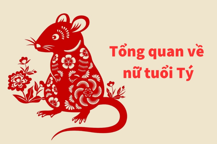 Tổng quan về người tuổi Tý tong quan ve nu tuoi ty