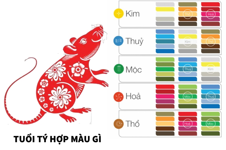 tuoi ty hop mau gi nam 2025 