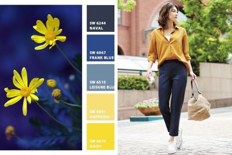 xanh nước biển phối màu vàng