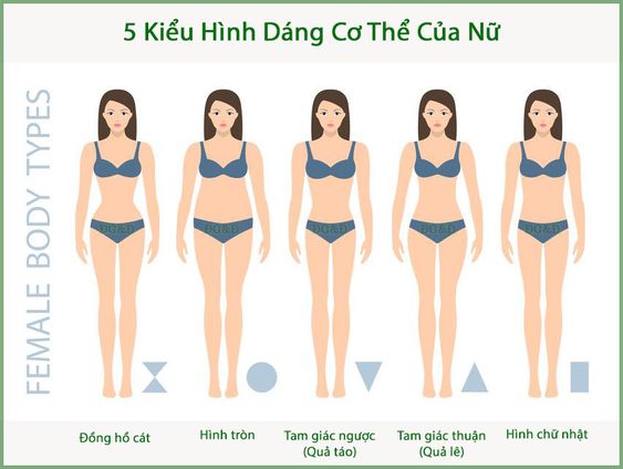 dáng người cơ bản 