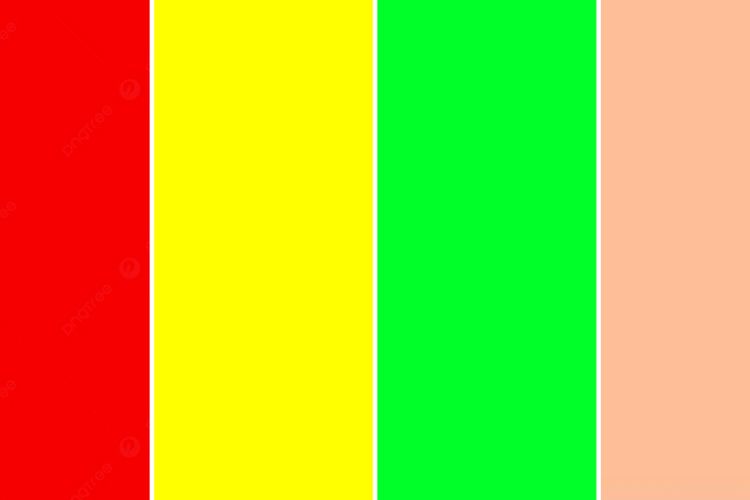 4 màu sắc chủ đạo Tết 2025