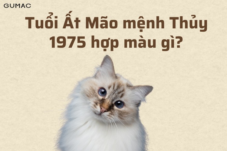 tuoi at mao hop voi mau gi