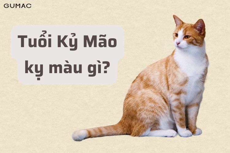 ky mao 1999 ky mau gi
