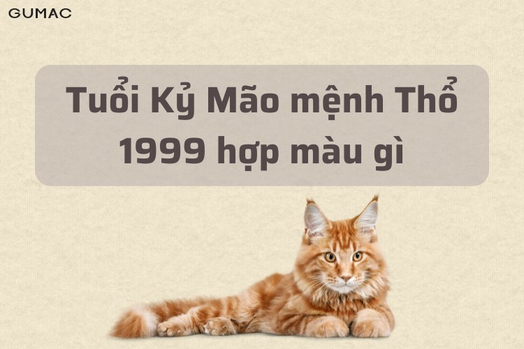 ky mao 1999 hop mau gi