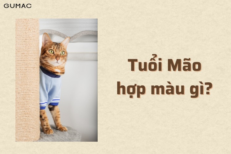 tuoi mao hop mau gi 2026