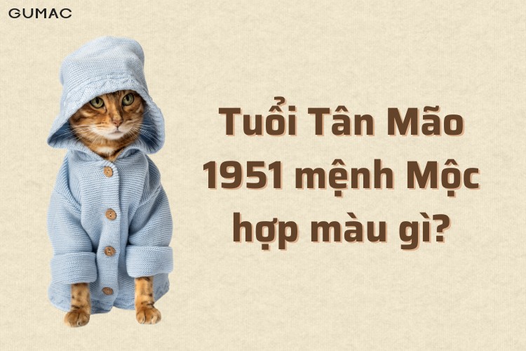 tan mao 1951 hop mau gi
