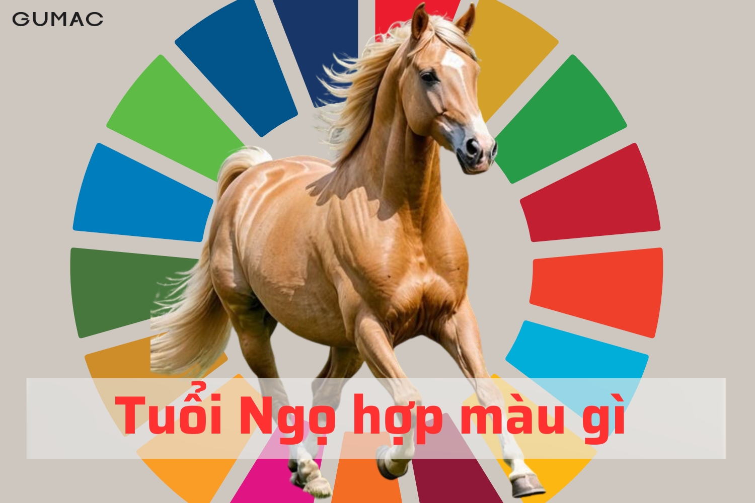 Tuổi Ngọ hợp màu gì 2026 tuoi ngo hop mau gi
