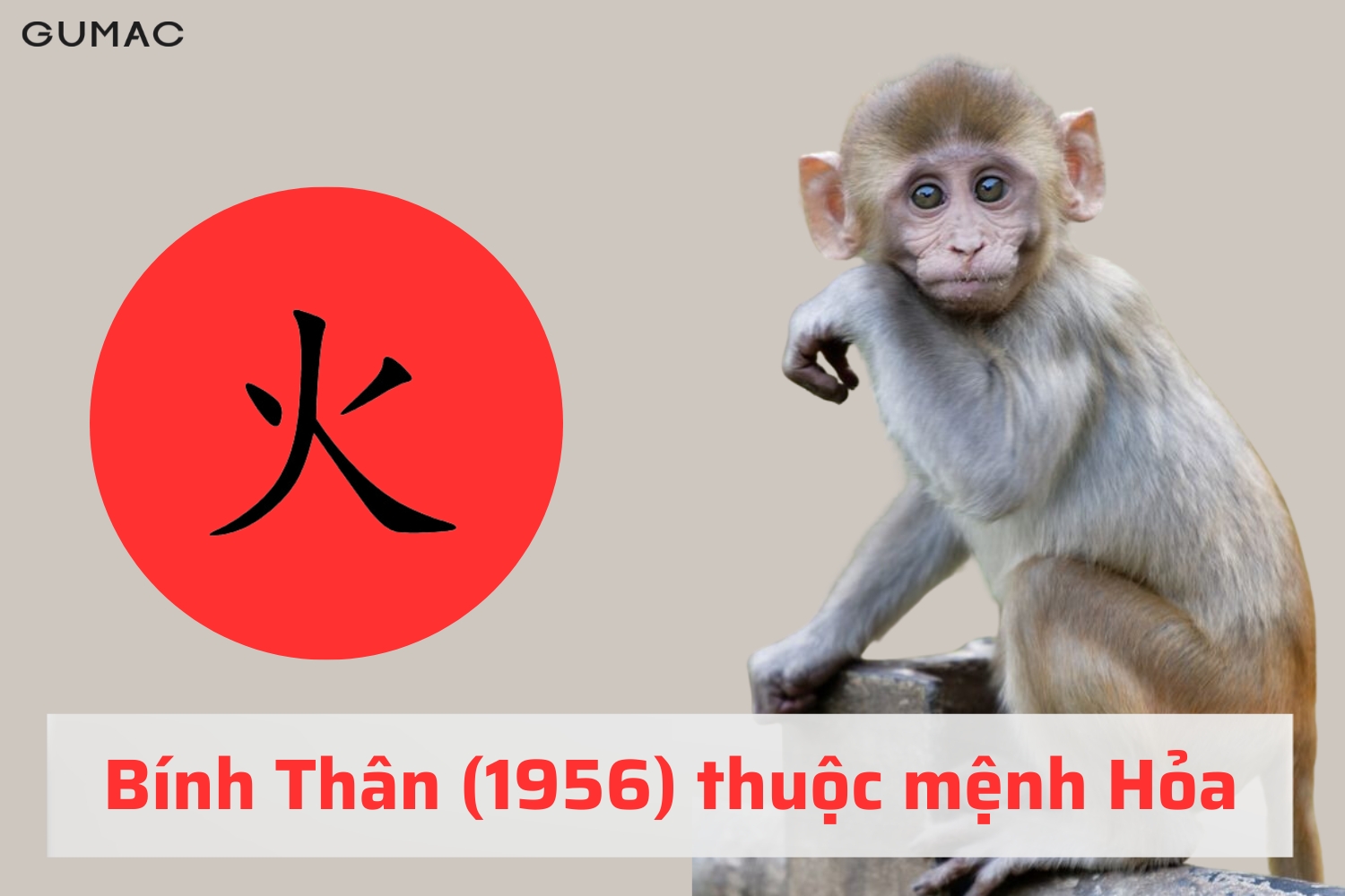 binh than 1956 hop mau gi