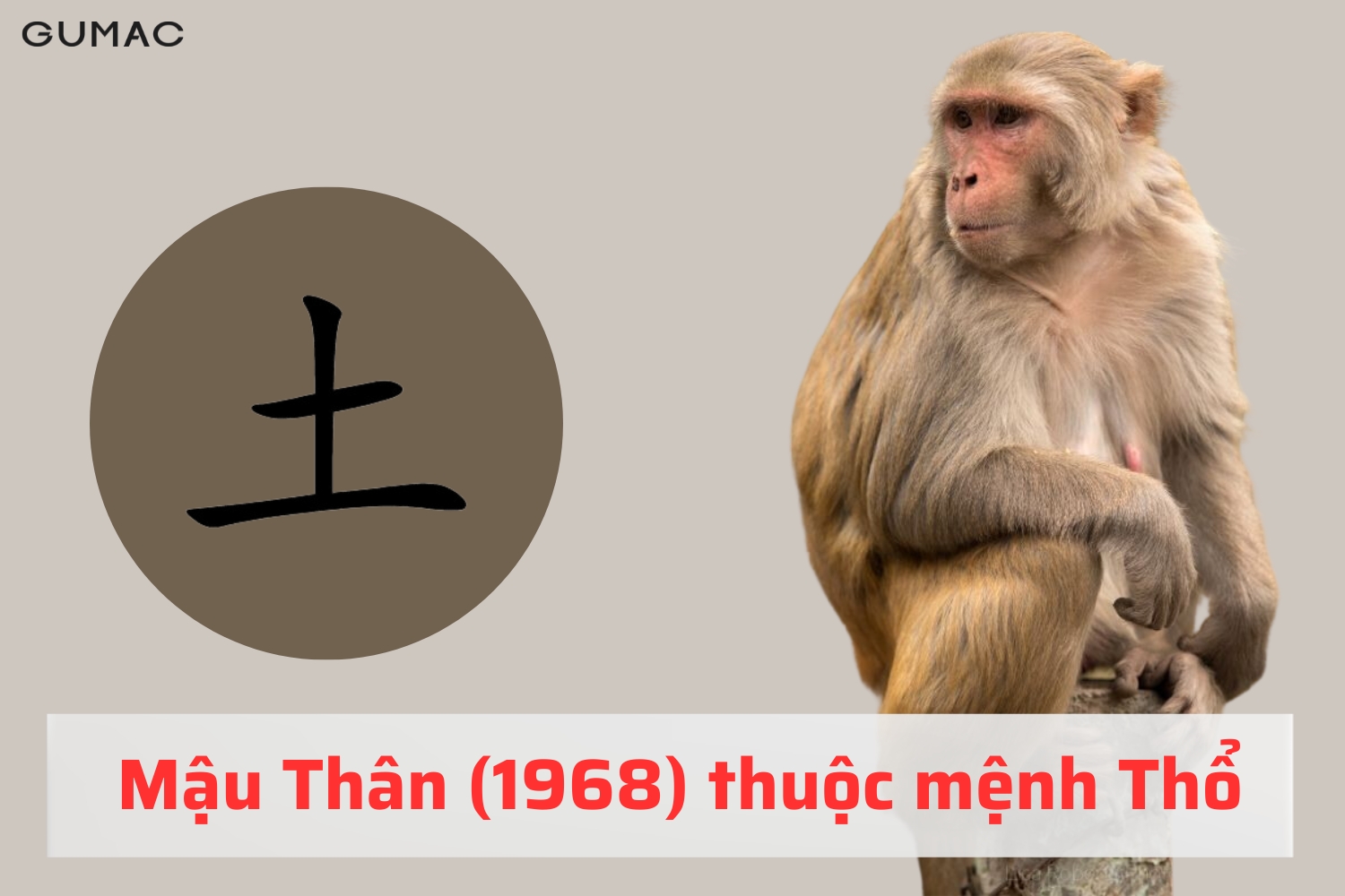 mau than 1968 hop mau gi