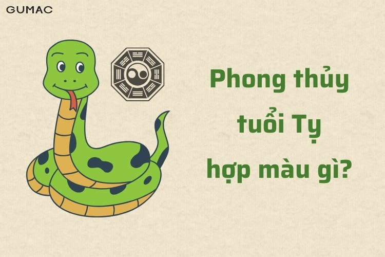 tuoi ty hop mau gi 2026