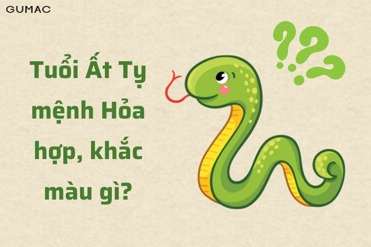 at ty 1965 hop mau gi