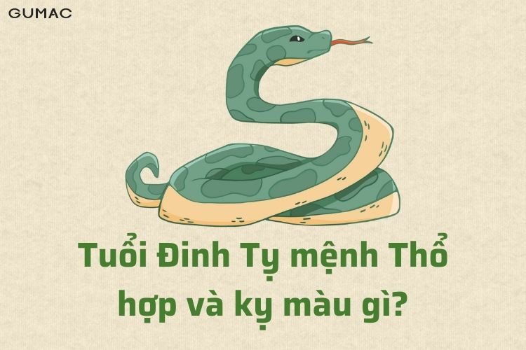 dinh ty 1977 hop mau gi