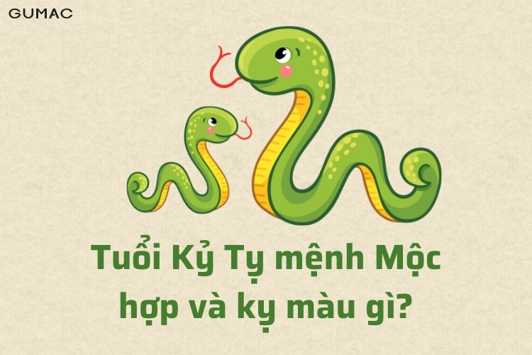 ky ty 1989 hop mau gi